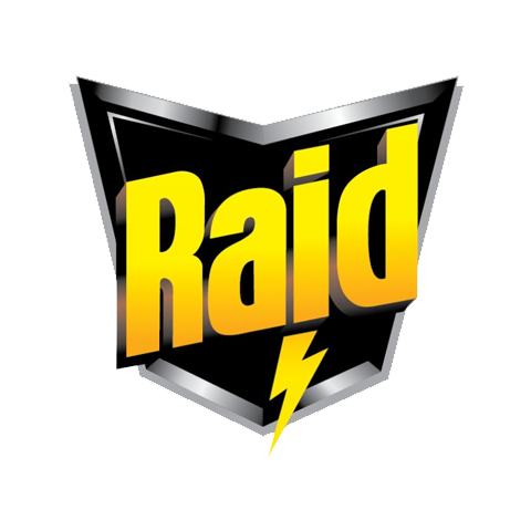 Raid 雷達