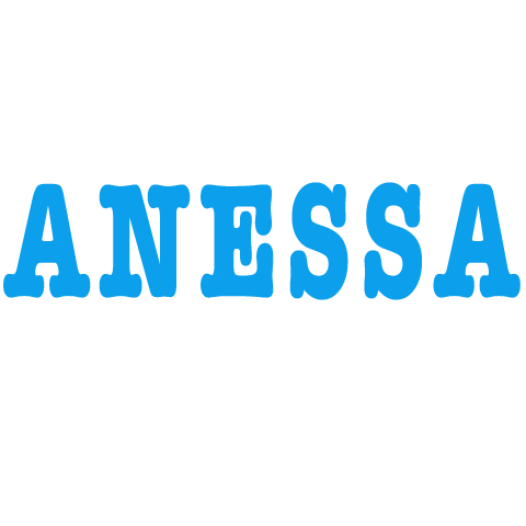 ANESSA 安熱沙
