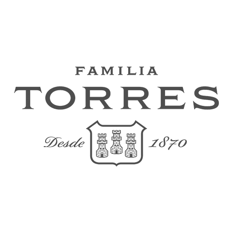 Torres 桃樂絲