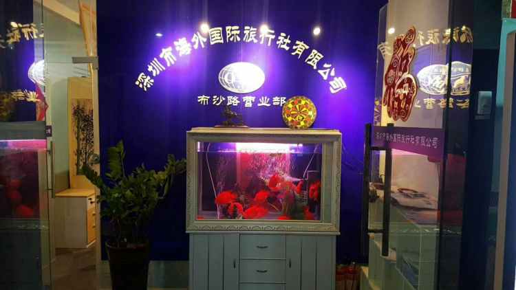 深圳海外國際旅行社