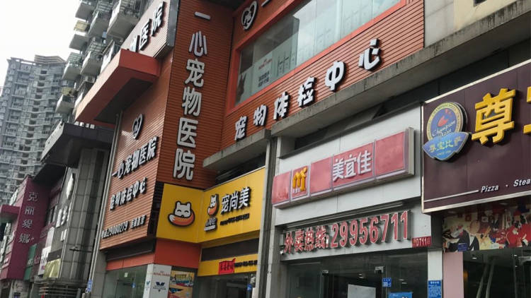 一心寵物醫(yī)院