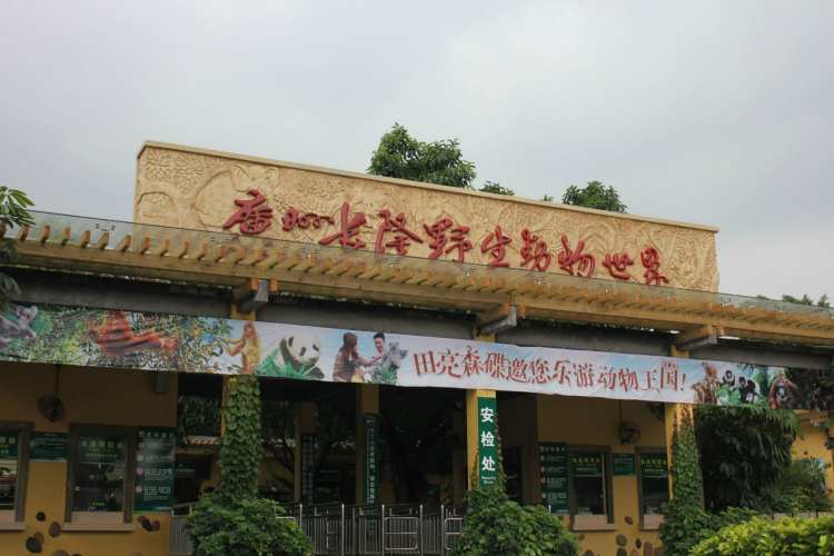 長隆野生動物園丨長隆飛鳥樂園