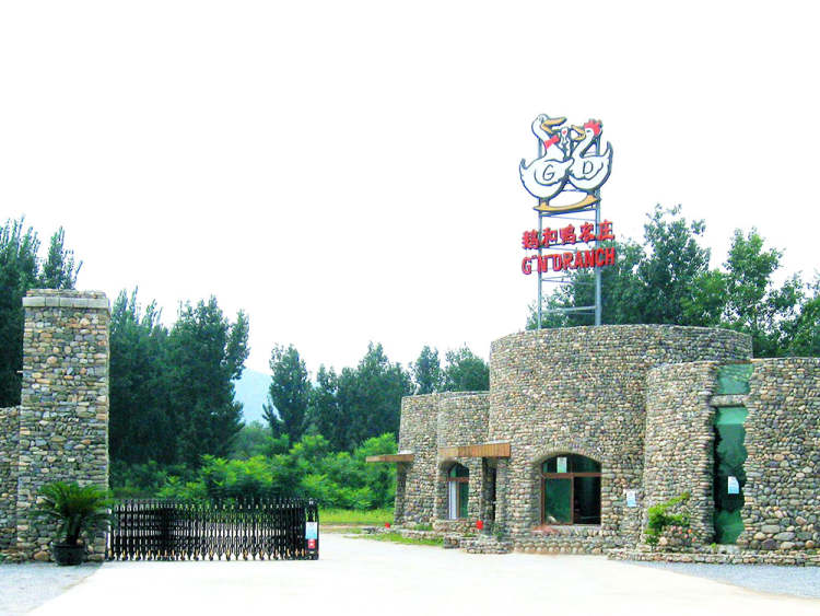 鵝和鴨農(nóng)莊