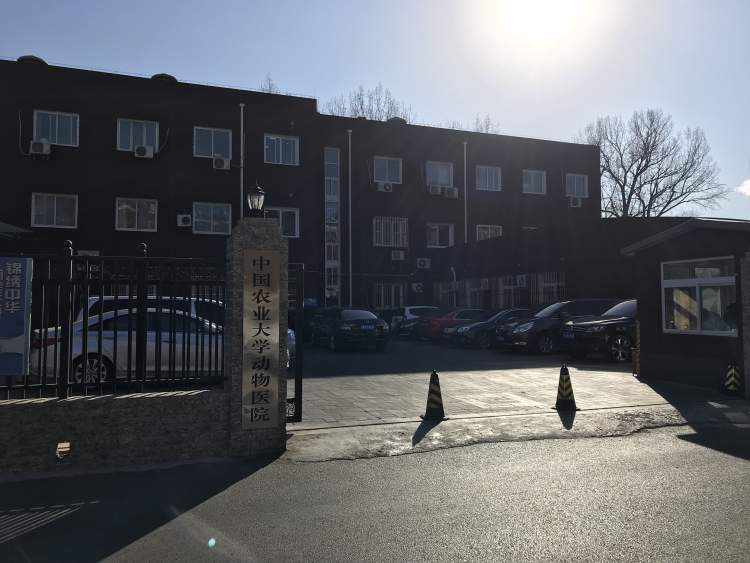 中國農(nóng)業(yè)大學(xué)動物醫(yī)院
