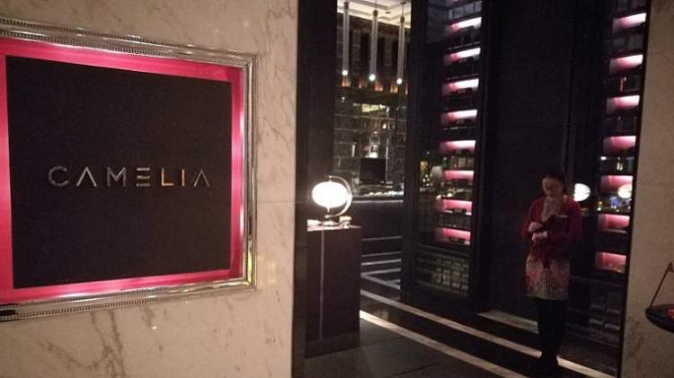 浦東四季酒店-Camelia