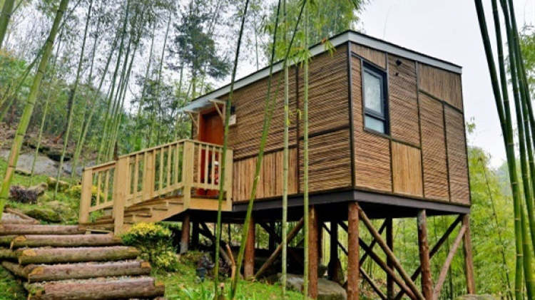 安緹縵·竹林樹屋