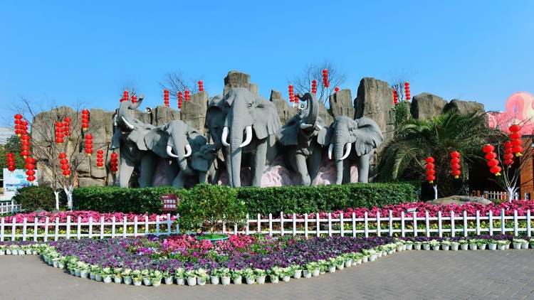 長(zhǎng)沙生態(tài)動(dòng)物園
