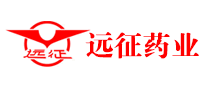 遠(yuǎn)征
