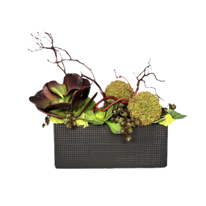 園藝花卉十大品牌