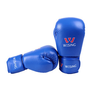 武術(shù)用品十大品牌