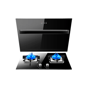 廚衛(wèi)電器十大品牌