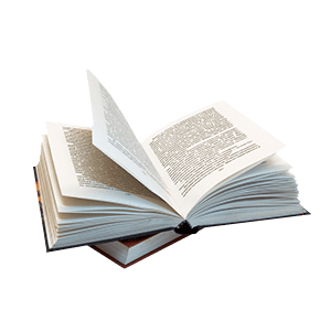 網絡文學十大品牌